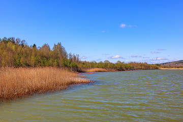 Beautiful lake with reeds on the lakeshore