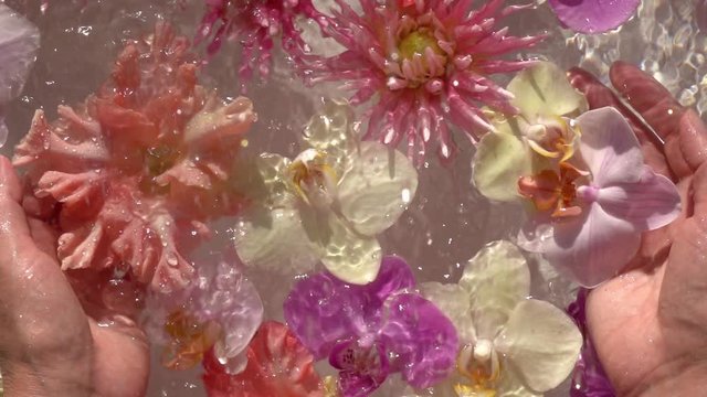 Rain drops falling on decorative water composition with flowers and woman hands. Slow motion. Top view. Natural lighting.