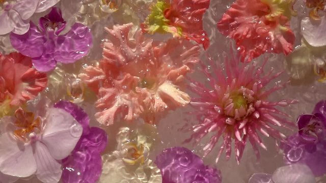 Rain drops falling on decorative water composition with colorful garden flowers. Slow motion. Top view. Natural lighting.