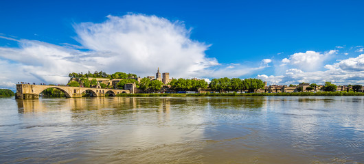 Obraz premium Avignon Cathedral And Rhone River - Avignon,France