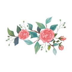 cute roses with branches and leafs isolated icon vector illustration design