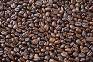 roasted coffee beans scattered on the table
