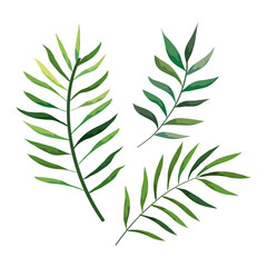 branches with leafs nature isolated icon vector illustration design