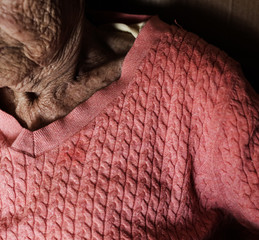 art portrait of a beautiful elderly woman at the end of her life. wrinkle skin.