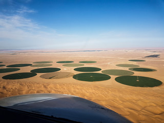 Agricultural fields in desert