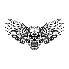 Vintage winged skulls isolated retro vector illustration on a white background. Great design for any purposes.