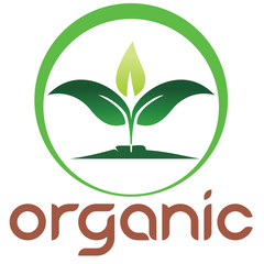 Leaf logo icon nature vector