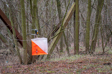 Orienteering. View of Checkpoint Prism and compost electronic and mechanical for orienteering in...