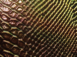 Holographic crocodile pattern