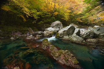 秋の風景。渓谷に水が流れる。