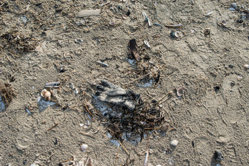 Müll am Strand
