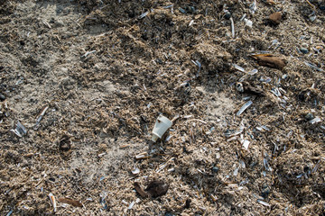 Müll am Strand