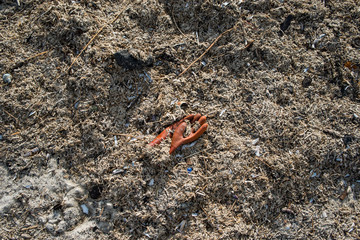 Müll am Strand