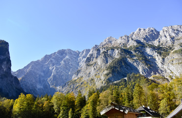 Fototapeta na wymiar Aussicht auf Bäume und Berge von der Halbinsel Hirschau in Berchtesgaden