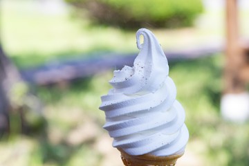 新鮮な牛乳から作った美味しいソフトクリーム