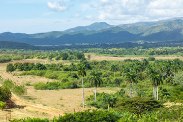 Fototapeta na wymiar Valle de los Ingenios (Valley sugar mills) in Cuba, a famous tourist destination and a major sugarcane growing area.