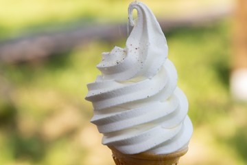 新鮮な牛乳から作った美味しいソフトクリーム