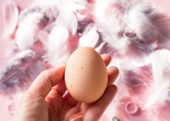 Pink feathers and eggs.