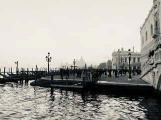 venice black and white