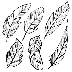 Digital illustration of a cute outline set of feather lines. Drawn in the style of a child’s illustration with a pencil print for cards, fabrics, design, games, posters.