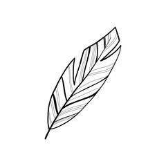 Digital illustration of a cute single outline of feather lines. Drawn in the style of a child’s illustration with a pencil print for cards, fabrics, design, games, posters.