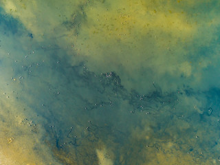 Swamp wetlands aerial - obrazy, fototapety, plakaty