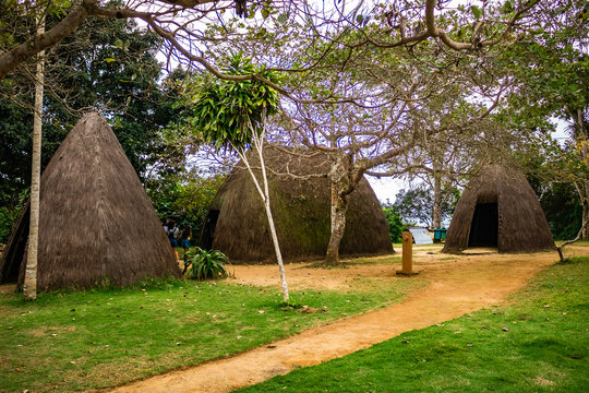 a cultura dos indios