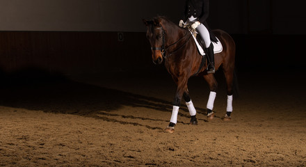Dressage horse (arranged on the right with copy space) under a rider in the riding hall,...