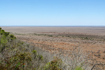 Parc national Kruger, Afrique du Sud