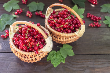 baskets with red currants close-up. background with fresh currant berries. red currants on a wooden table.