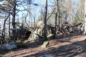 Forêt en hiver autour du col de Malval - Commune de Courzieu - Département Rhône - France