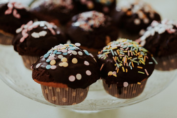 cupcakes, cakes, muffins with choclate frosting