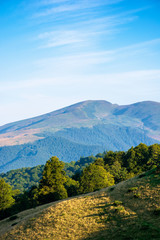 Obraz premium mountain landscape with clouds. beautiful summer scenery. forest on the hills