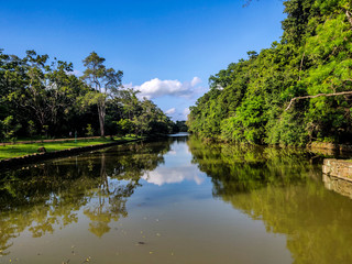 Fototapeta premium landscape with river and trees