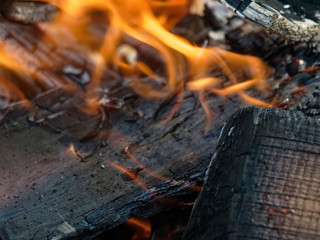 firewood burning in the summer, macro.