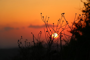 Fototapeta premium Sunset in Palestine