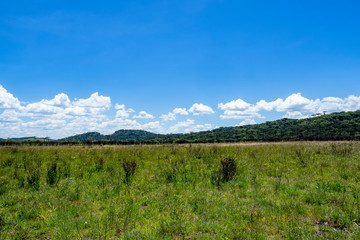 Aparados da Serra