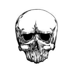 Anatomic Skull Vector Art. Detailed hand-drawn illustration of skull with open mouth. Grunge weathered illustration. Vector art. tattoo design.