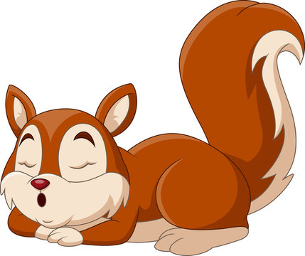 Cartoon funny squirrel a sleeping