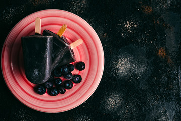 homemade vegan blueberries coconut milk popsicle