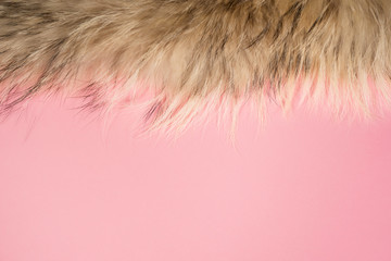 Closeup top view flatlay color photography of soft real fluffy animal fur isolated on pastel pink...