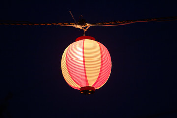 ピンクの提灯