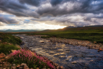 Deosai Plains in Northern Pakistan, taken in August 2019