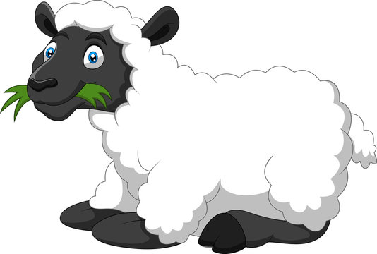 Cartoon funny sheep eating a grass