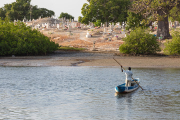 Cemetery at Joal-Fadiouth. Christian graves and crosses next to large baobabs. Fadiauth Island....