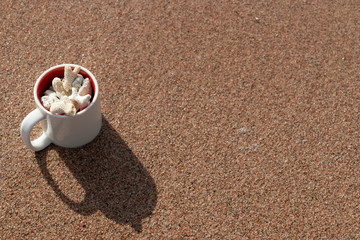 White Corals Collection in a Mug on Red Sand of the Red Sea Coast