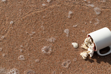 White Corals Collection in a Mug on Red Sand of the Red Sea Coast
