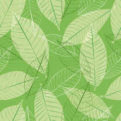 Основные RGB