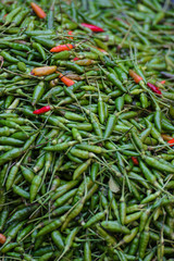 chillis at market in Myanmar close up
