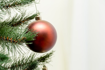 Christmas ball hanging on a christmas tree branch with copy space on white background